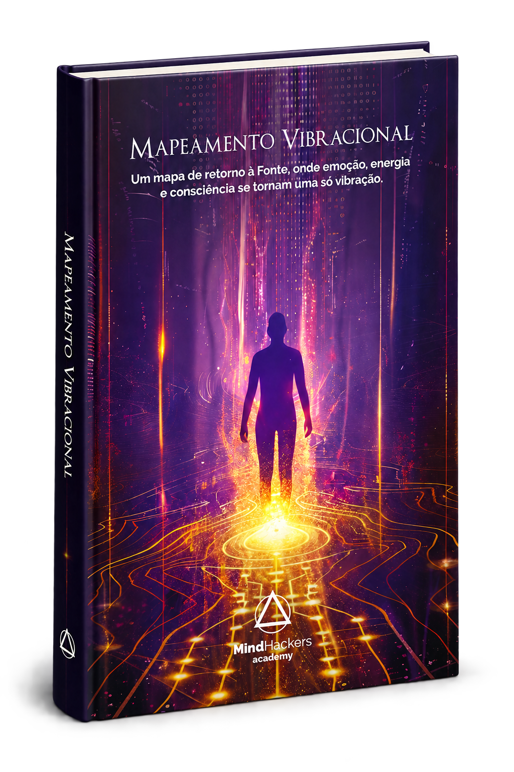 Capa do livro Mapeamento Vibracional