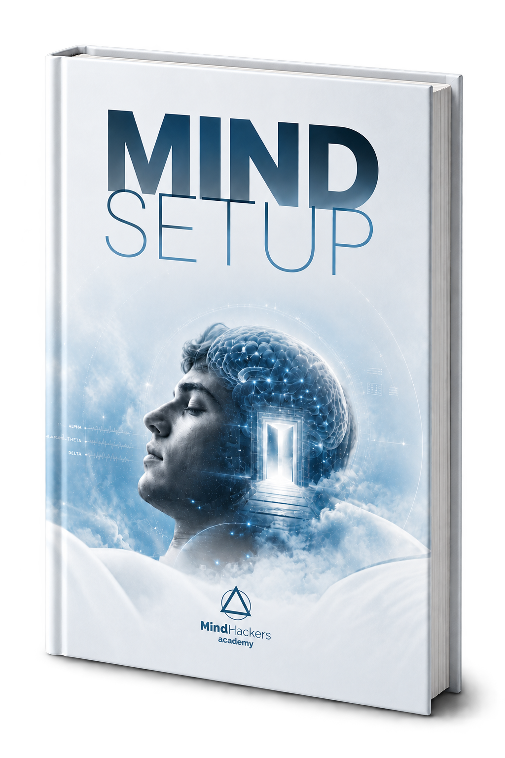 Capa do livro Mindsetup